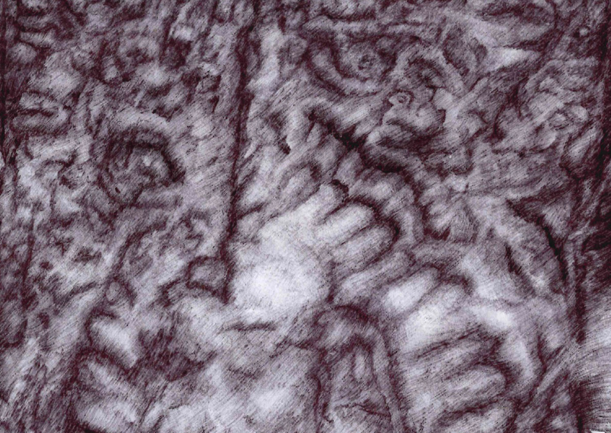 Temporal | Mediations | Natalie Knowles © 2021