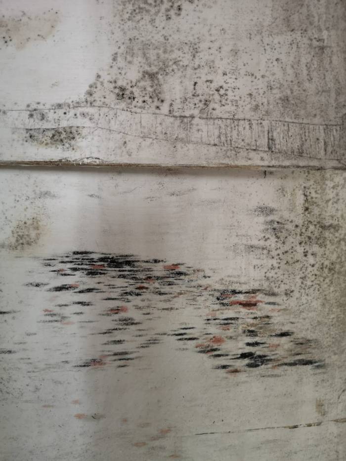 Shoe Factory Weekender 063 | Natalie Knowles Art 2021