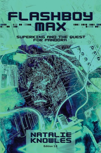 Flashboy Max cover art