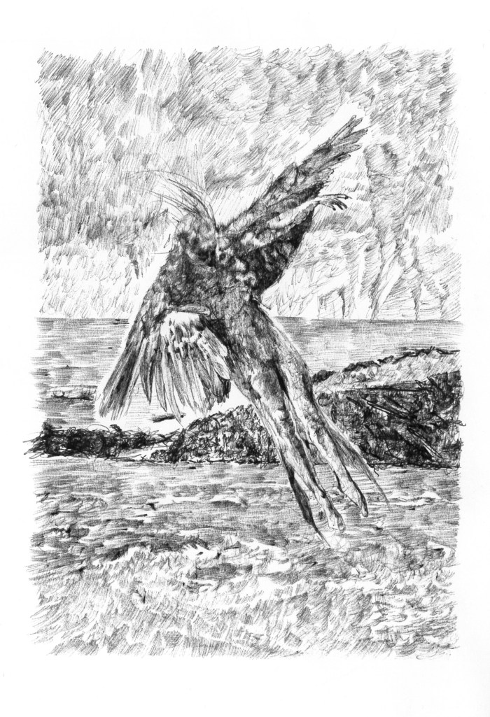 28 | © Natalie Knowles Art